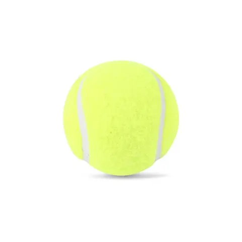 SG Cricket Balls Ace Light
