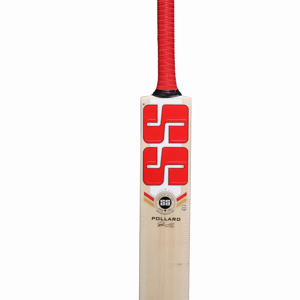 SS Kashmir Willow Cricket Bat Pollard SH