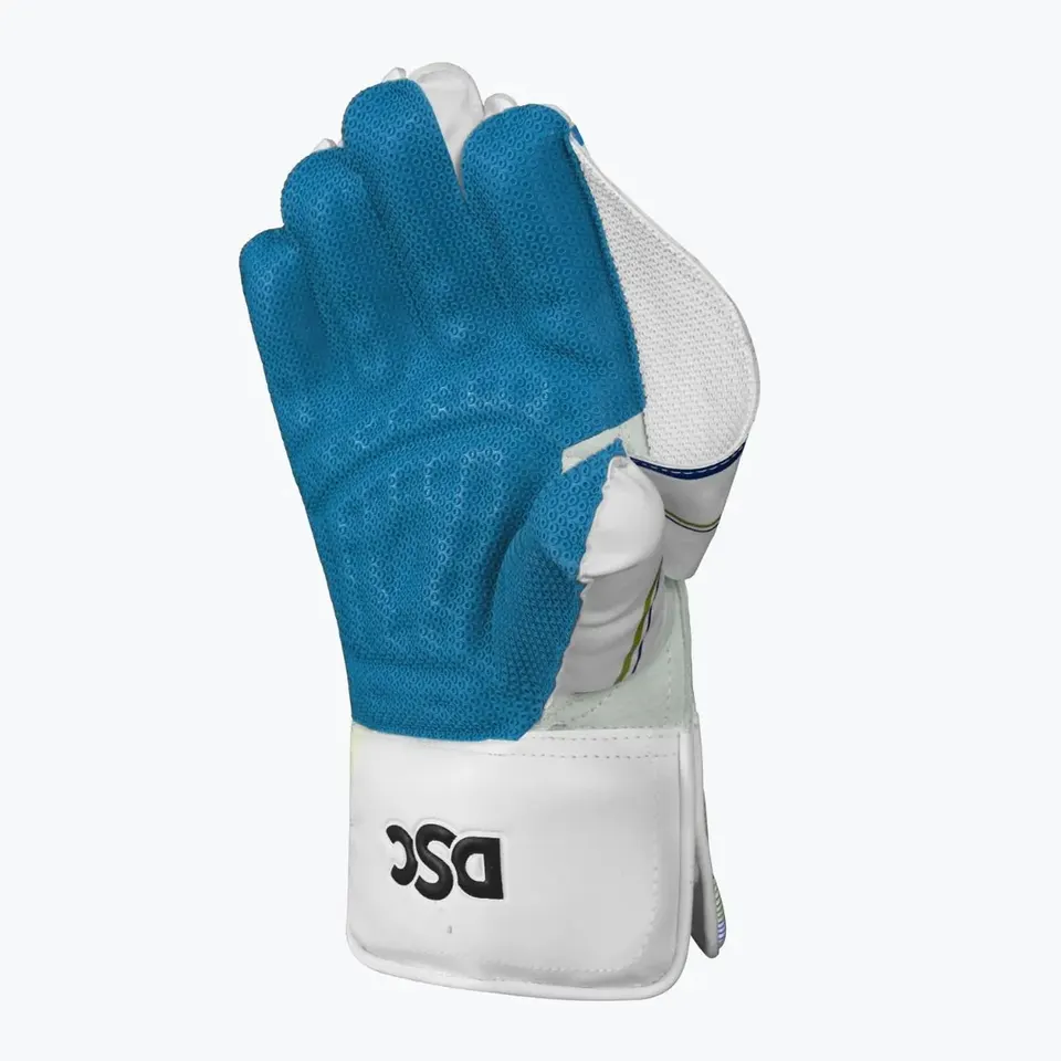 DSC Wicket Keeping Gloves Condor Glider