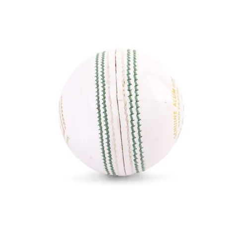 SG Cricket Ball Club White