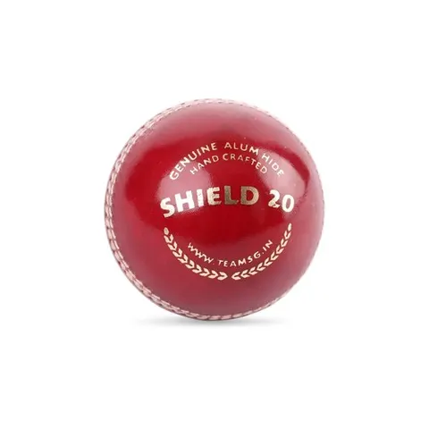 SG Cricket Ball Shield 20 Red