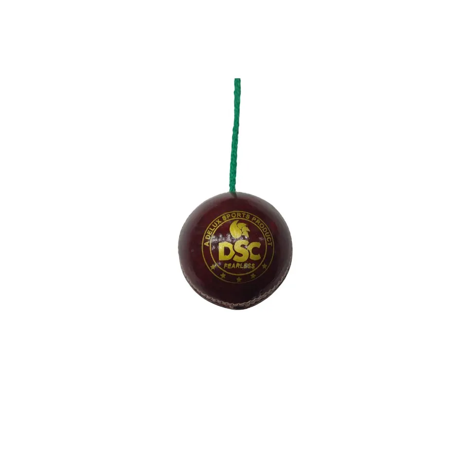 DSC Leather Ball Hanging