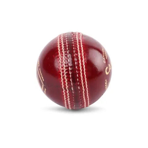 SG Cricket Ball Campus Red
