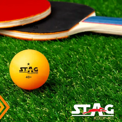 STAG Iconic 1 Star Table Tennis Ball