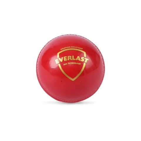 SG Cricket Balls Everlast Red