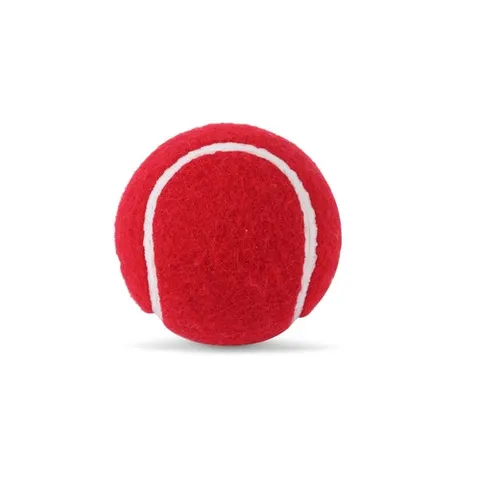 SG Cricket Balls Spark Heavy