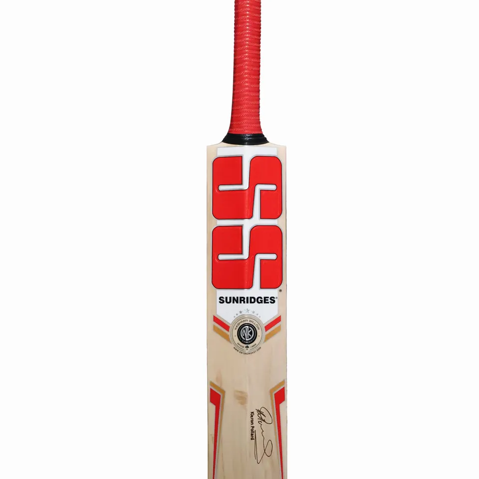 SS Kashmir Willow Cricket Bat Pollard SH