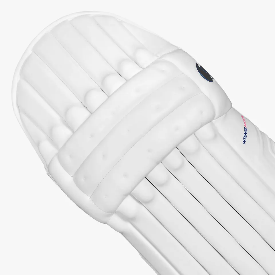DSC Batting LegGuard Intense Passion