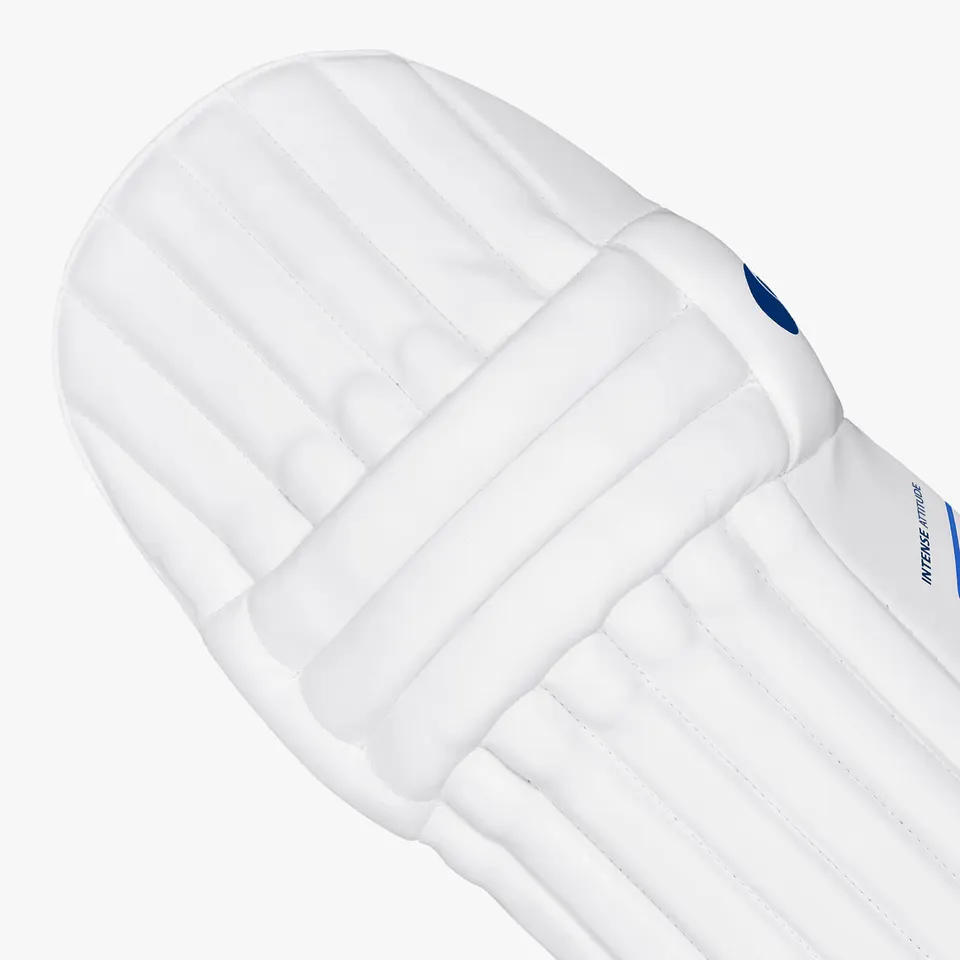 DSC Batting LegGuard Intense Attitude